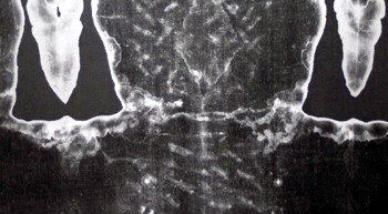 Negative of Midback Area of the Shroud of Turin