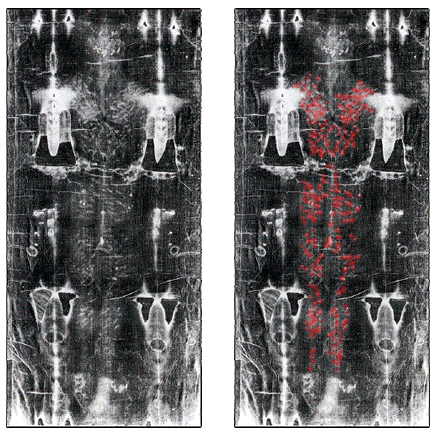 Negative of the Dorsal Side of the Shroud of Turin