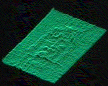 Animation of the Gain Levels of a VP-* Image Analyzer on the Face of the Shroud